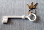 Silicone Key Keychain, $19
